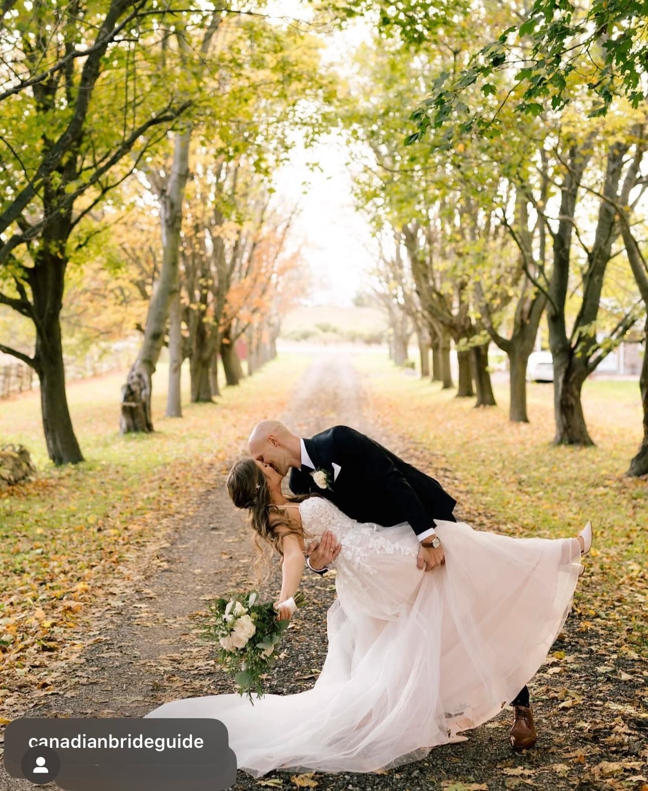 Floral arrangements